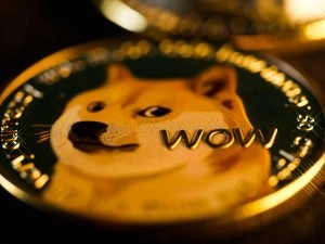 Read more about the article The Rise of Meme Coins: A Deep Dive into Their Popularity and Impact